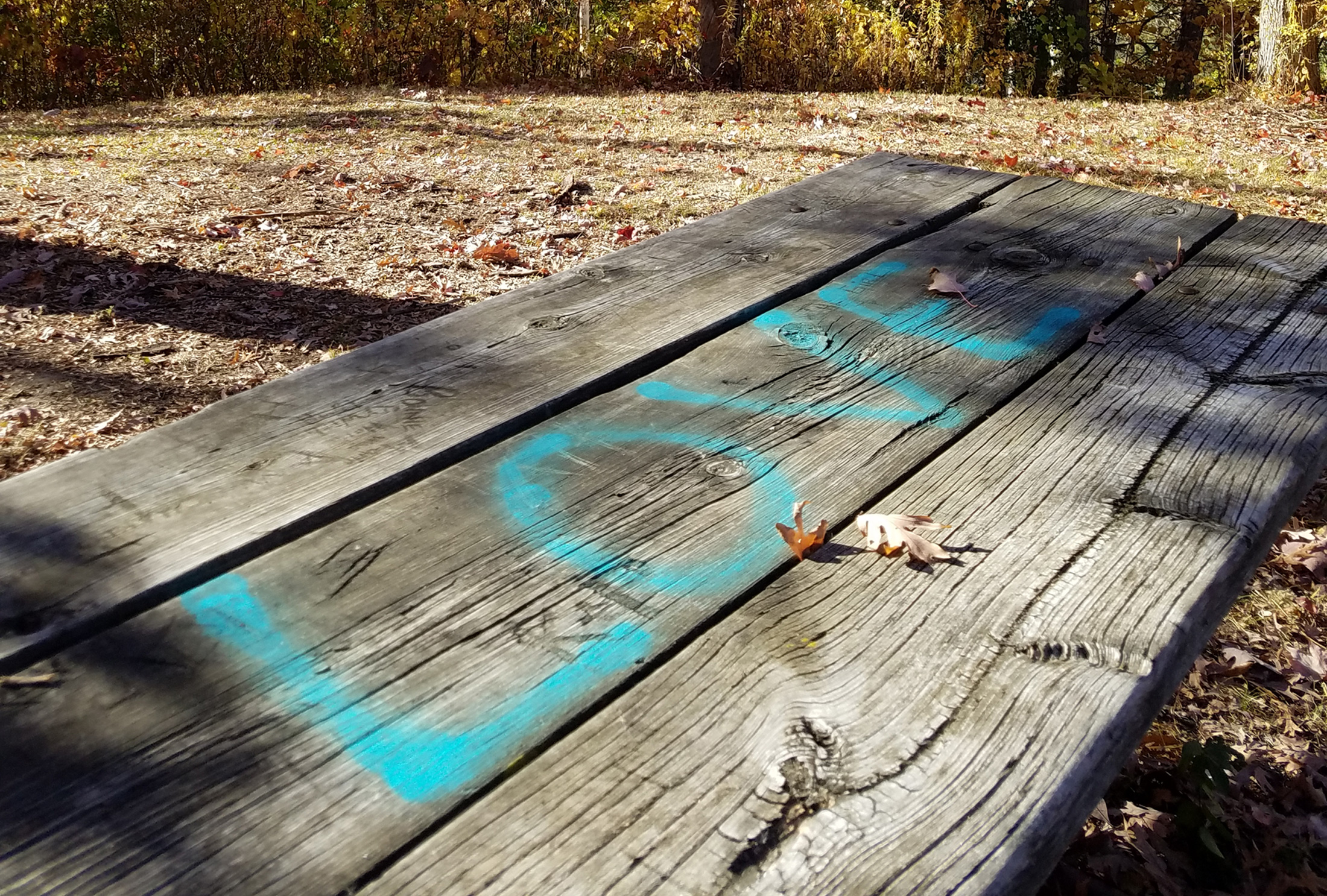 Picnic Table, Mississippi River Park, Northeast Minneapolis  - Photo copyright © Margo Ashmore